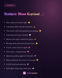 Aesthetic Moon Captions