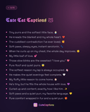 Cute Cat Captions