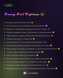 Funny Fall Captions