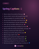 Spring Captions