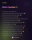 Kitten Captions