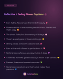Reflective & Fading Flower Captions